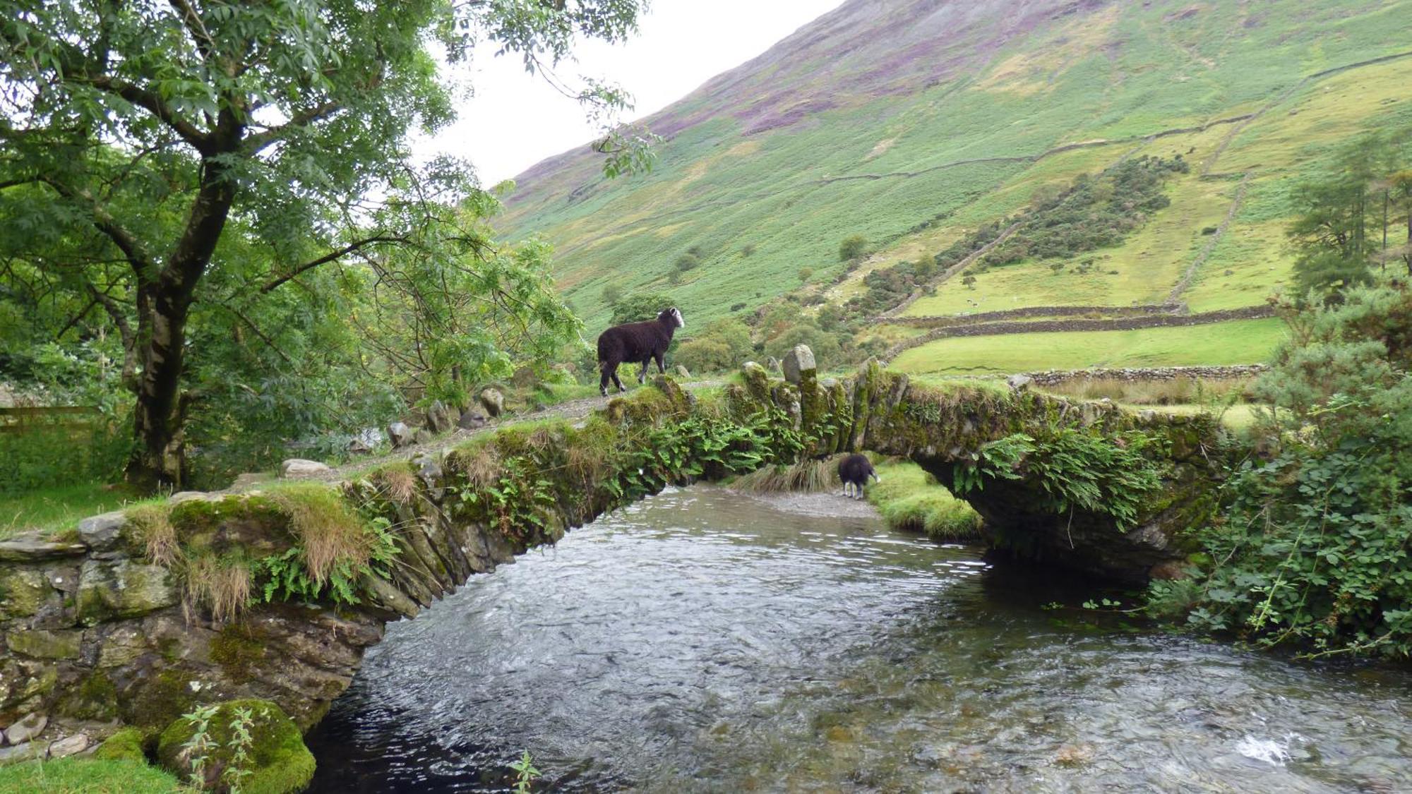 Renovated 5 Bedroom Farmhouse In Picturesque Eskdale, Lake District Экстерьер фото