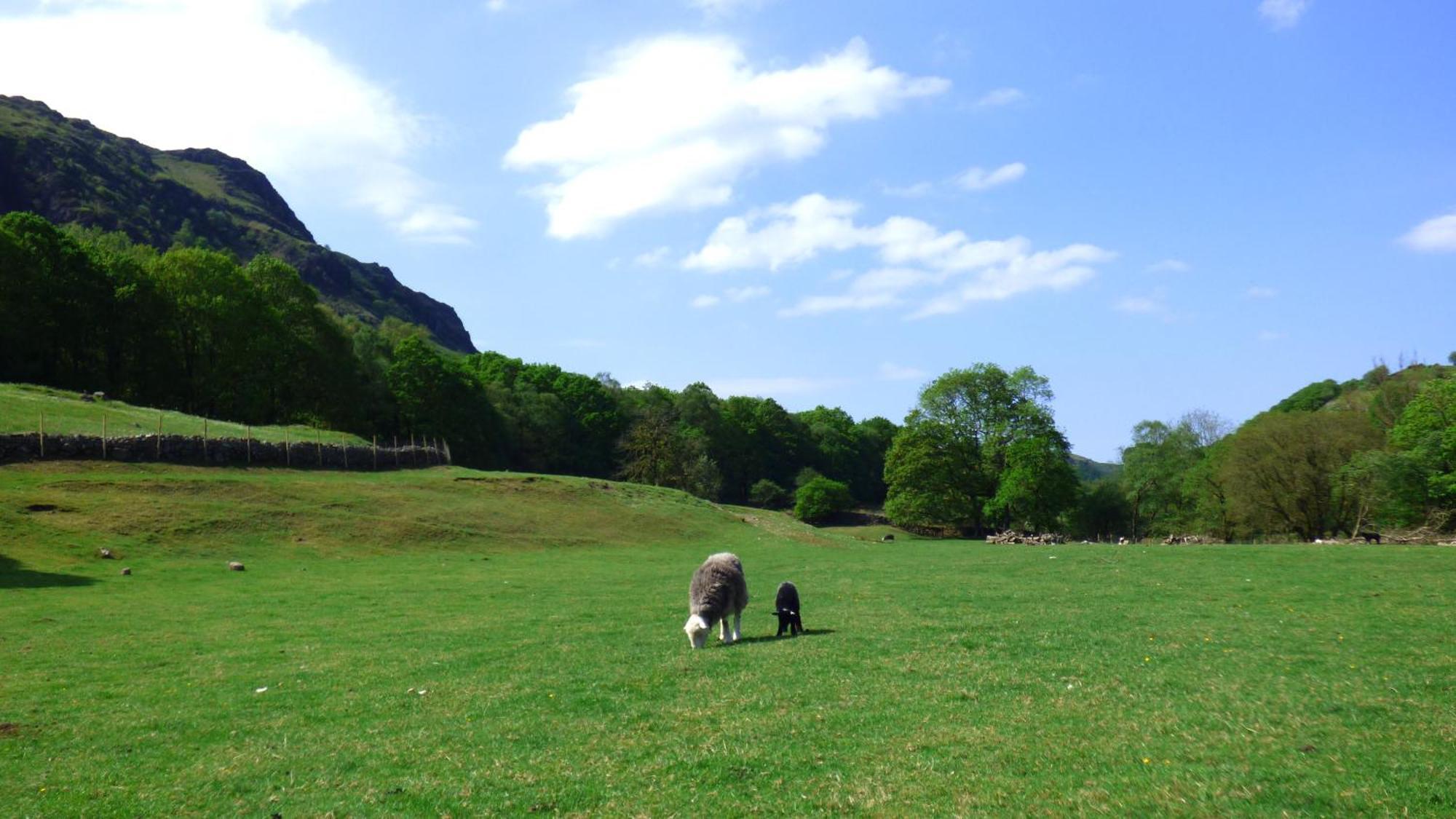 Renovated 5 Bedroom Farmhouse In Picturesque Eskdale, Lake District Экстерьер фото