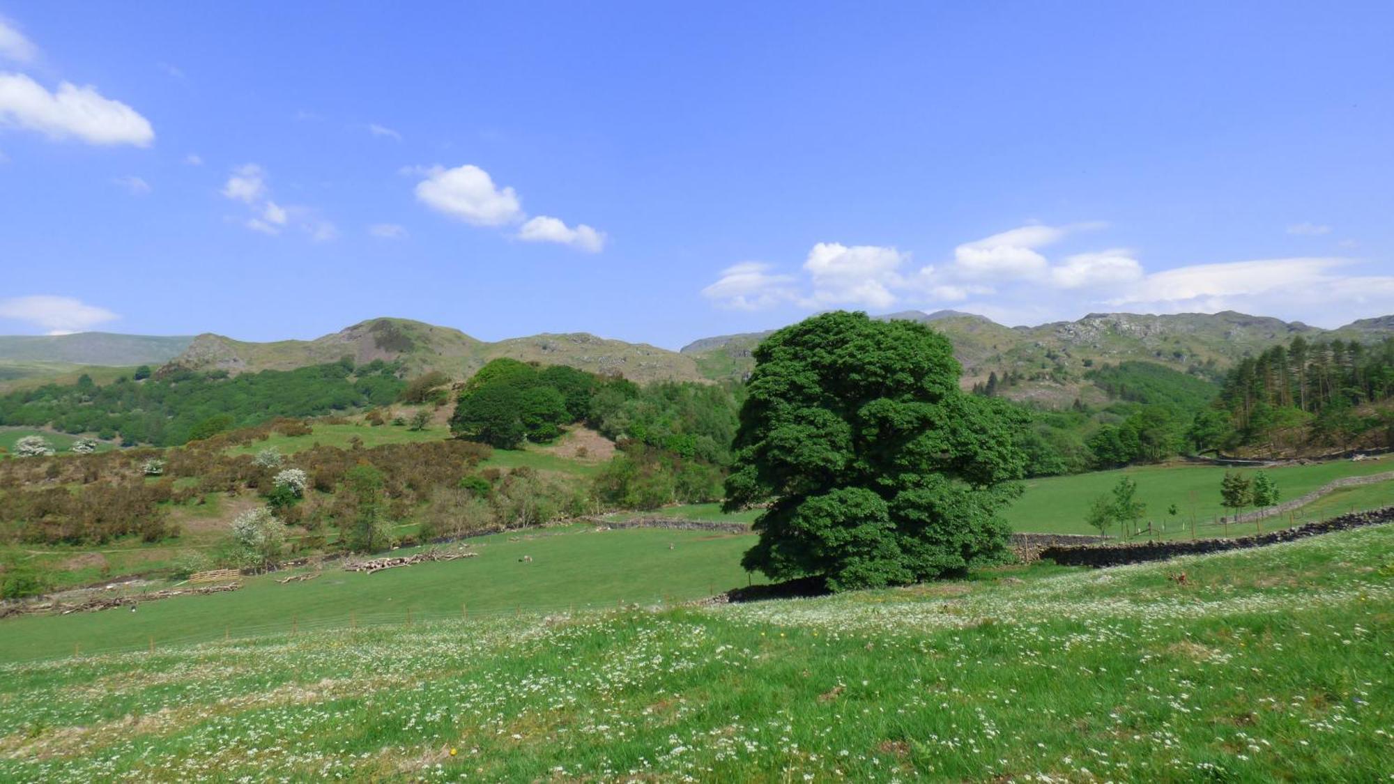 Renovated 5 Bedroom Farmhouse In Picturesque Eskdale, Lake District Экстерьер фото